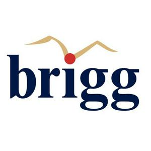 Brand image: Brigg